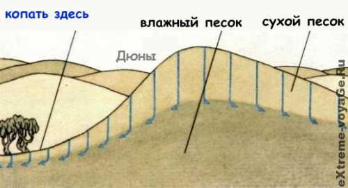 где и как найти друзей в интернете